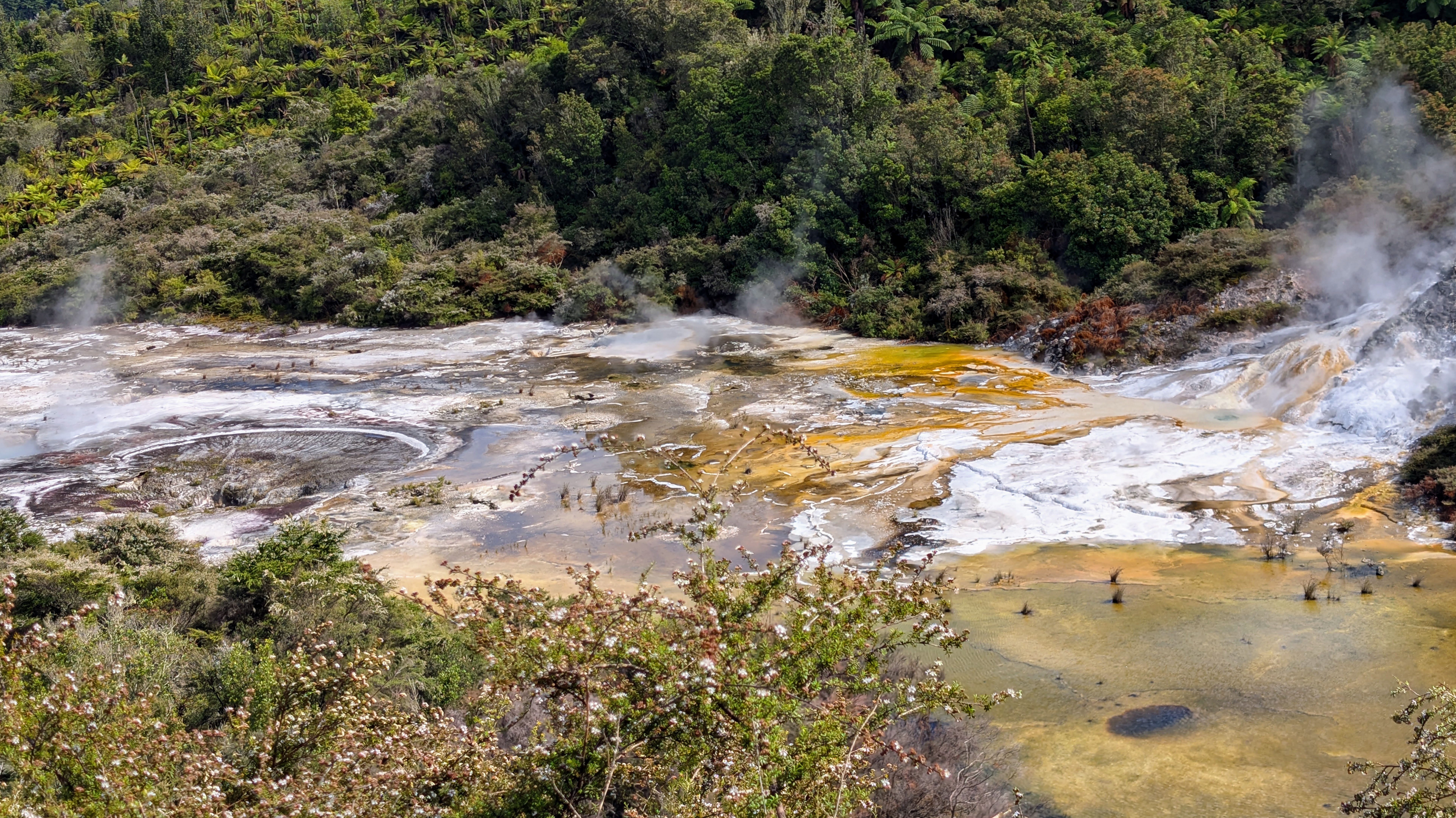 Orakei Korato